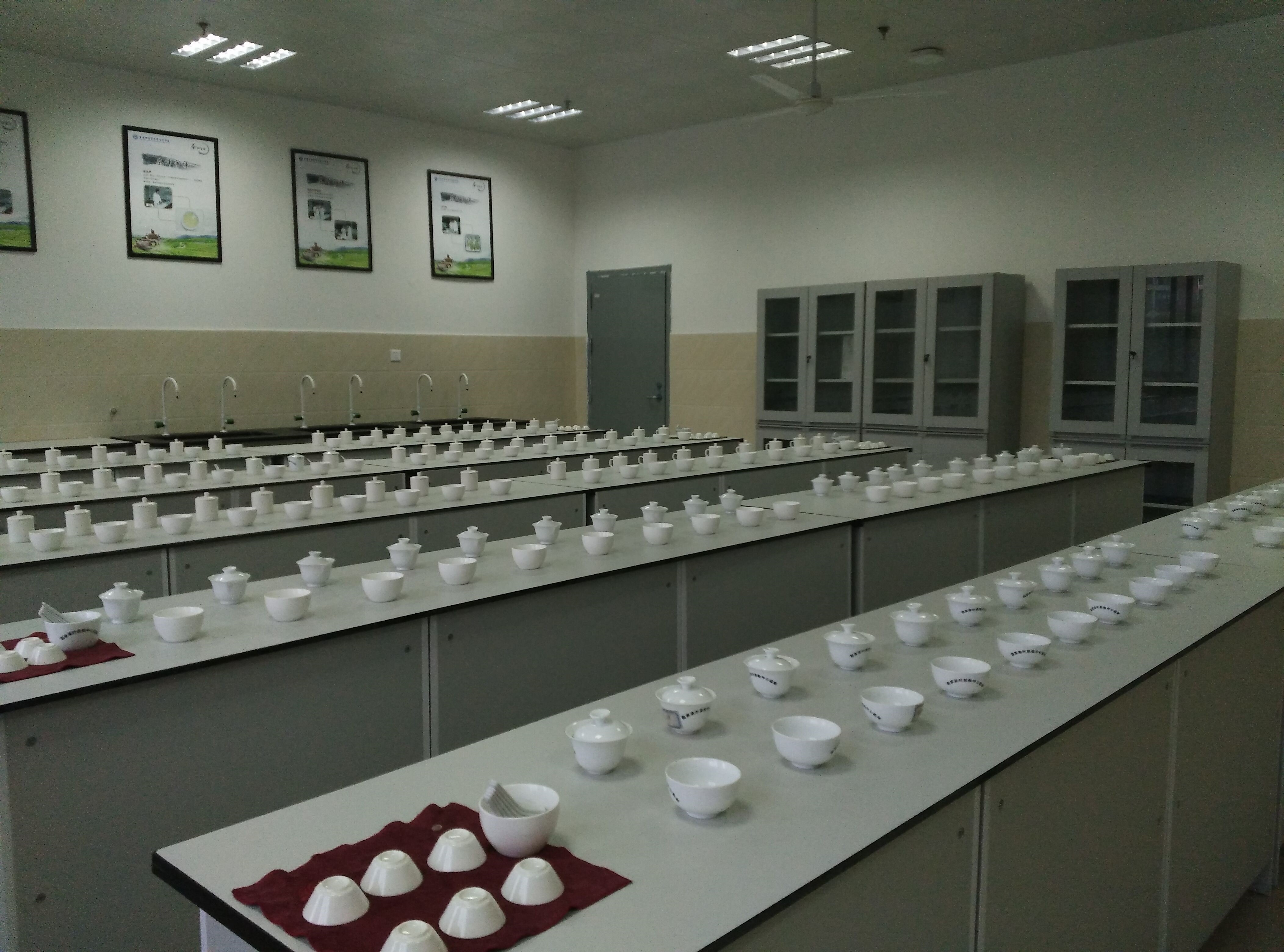 茶叶生产与加工专业